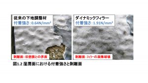 湿潤面における付着強さと剥離面